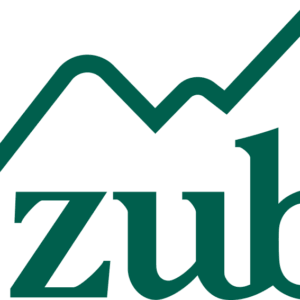 ZUBISCHUHE.CH
