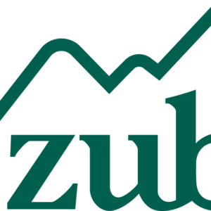 ZUBISCHUHE.CH
